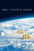 BBC: Планета Земля смотреть онлайн сериал 1-2 сезон